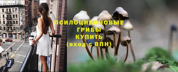 герыч Липки